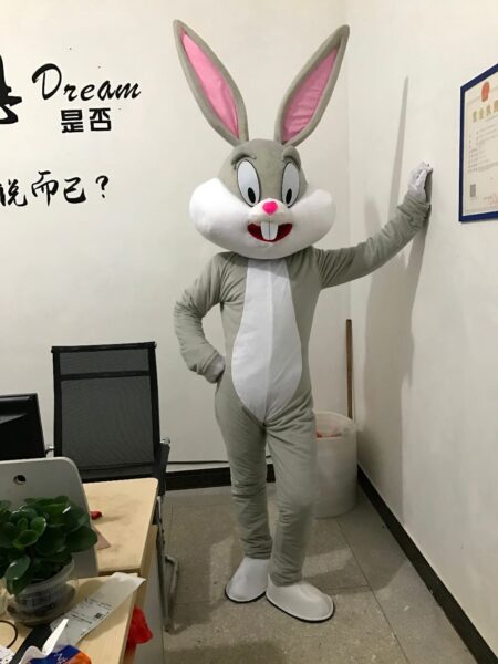 Disfraces profesionales de conejo de Pascua para adultos, disfraces de Mascota, conejo, insectos, fiesta de cumpleaños, Halloween y Navidad