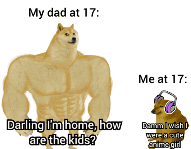 Camiseta Swole Doge Vs Cheems