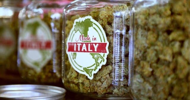 Marihuana made in Italy