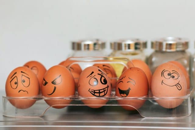 Cosas para hacer en Internet que pueden ayudar a reducir el estrés  9 orange and white egg on stainless steel rack